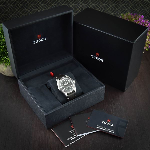 Tudor Black Bay 58 M79010SG-0001